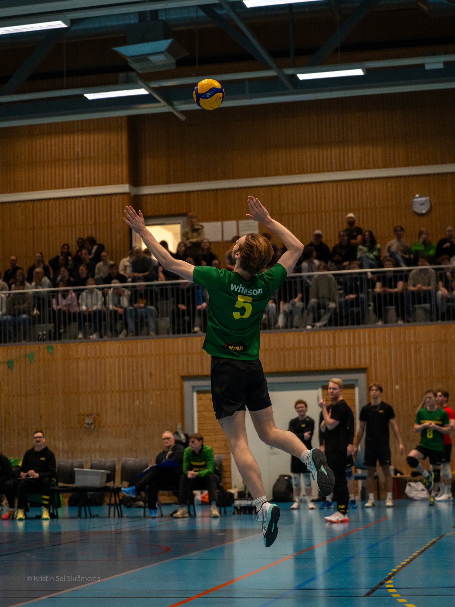 NTNUI-spiller hopper opp til serve