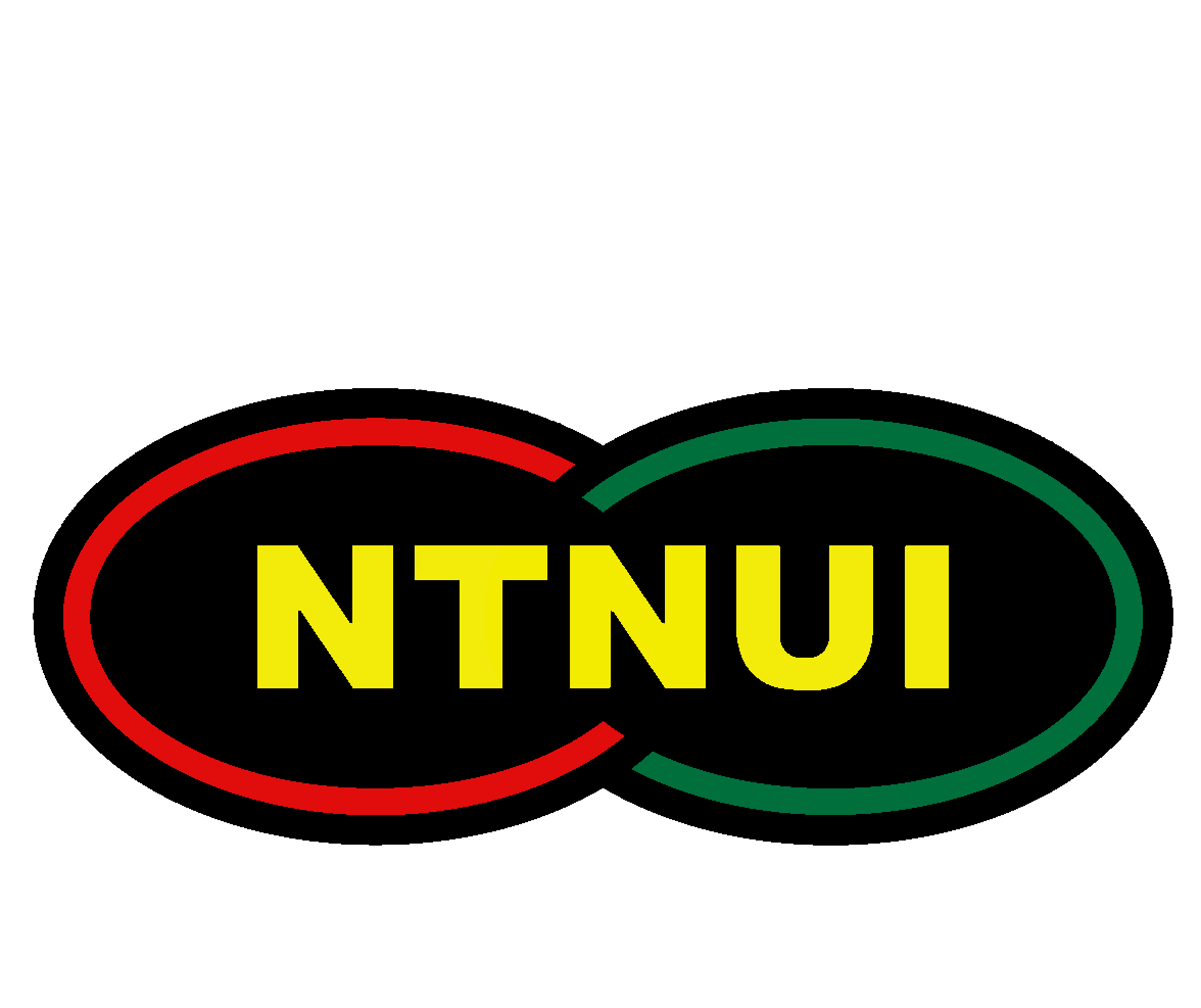 NTNUI Volleyball